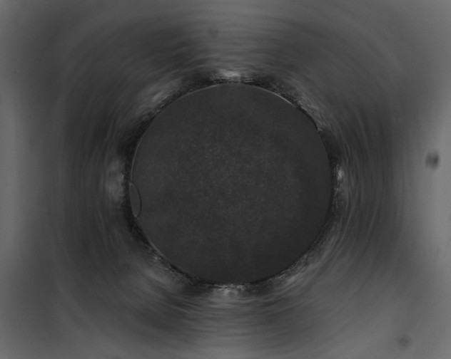 X0000100750080200806191154