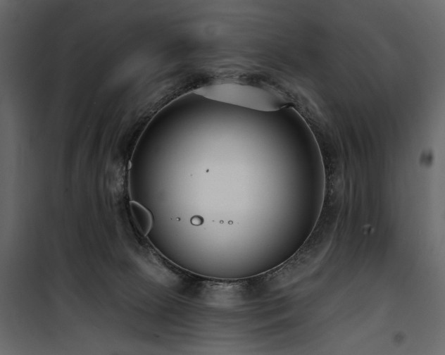 X0000100750081200806191154