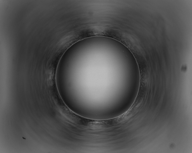 X0000100750082200806191154