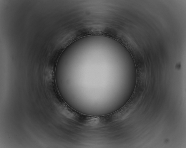 X0000100750083200806191154