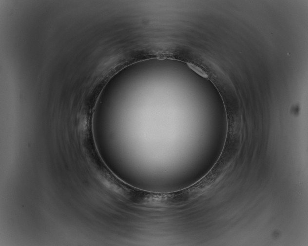 X0000100750084200806191154