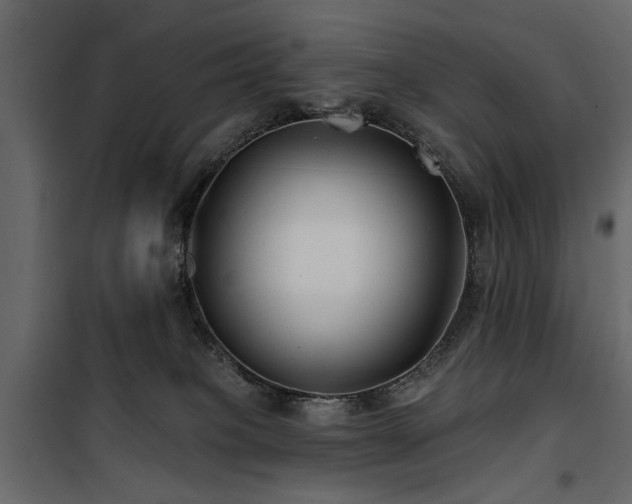 X0000100750085200806191154