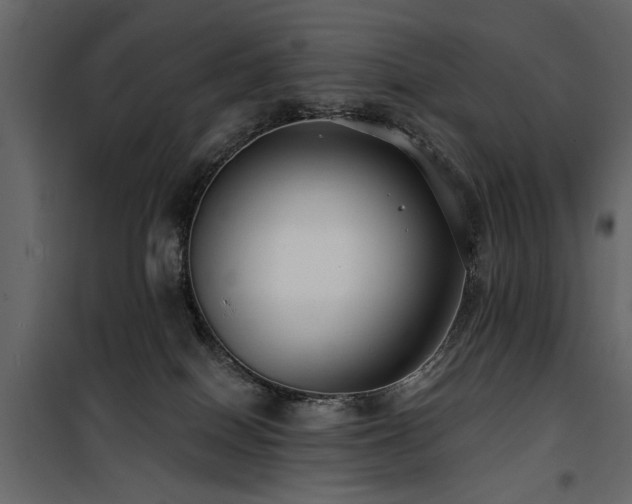 X0000100750086200806191154