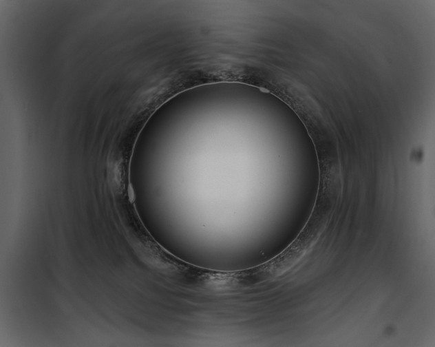 X0000100750088200806191154