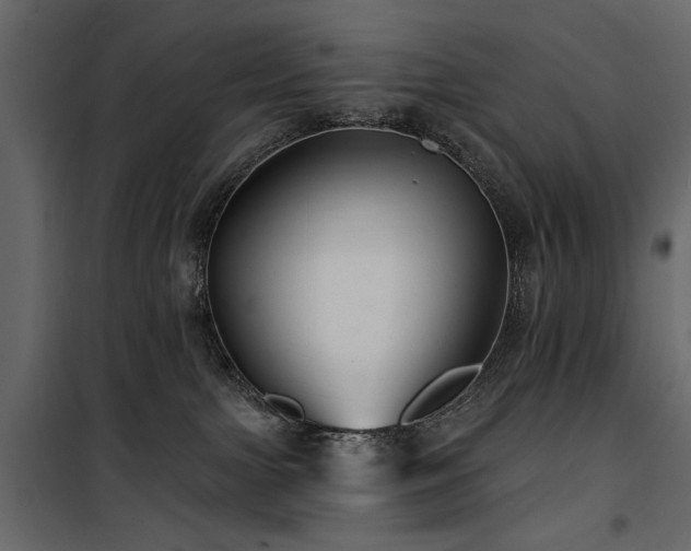 X0000100750091200806191154