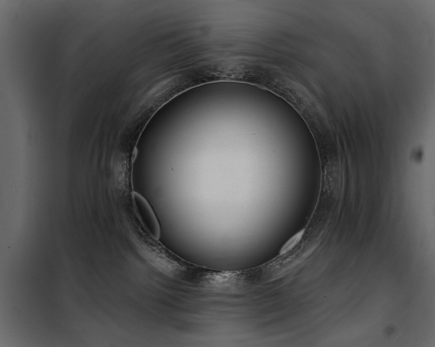 X0000100750092200806191154