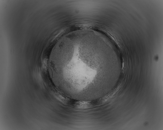 X0000100750093200806191154