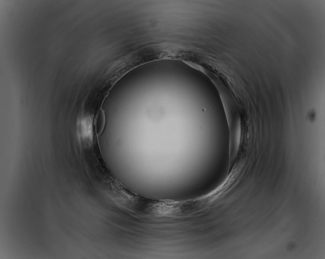 X0000100750094200806191154