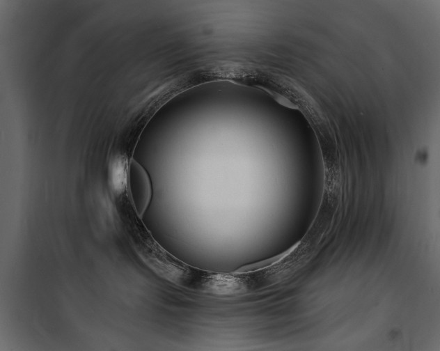 X0000100750095200806191154