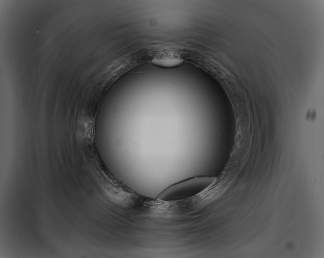 X0000100750096200806191154