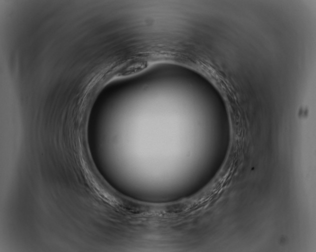 X0000100750097200806191153