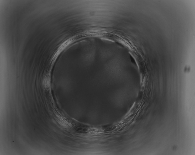 X0000100750099200806191153