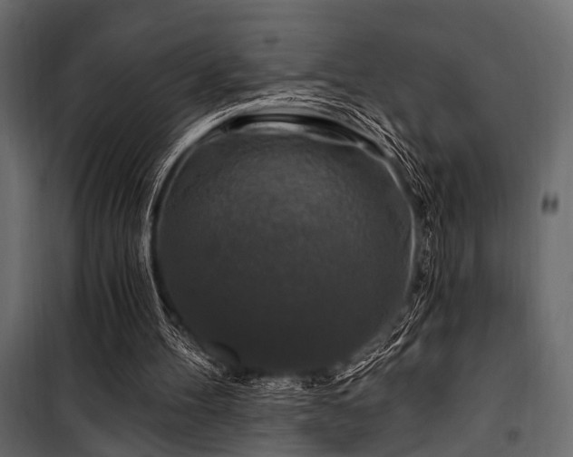 X0000100750100200806191153