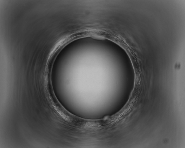 X0000100750101200806191153