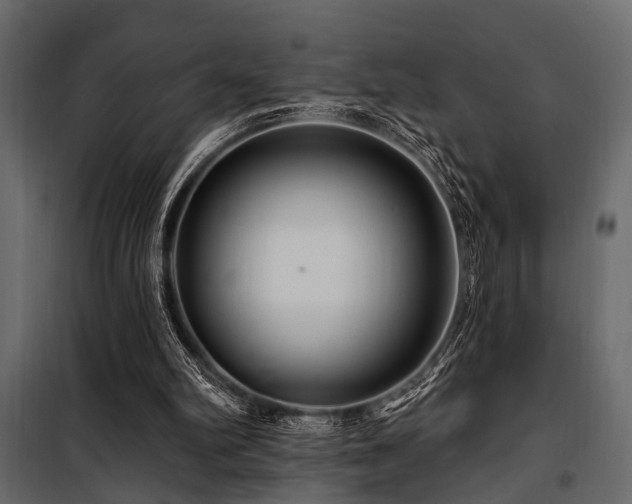 X0000100750102200806191153