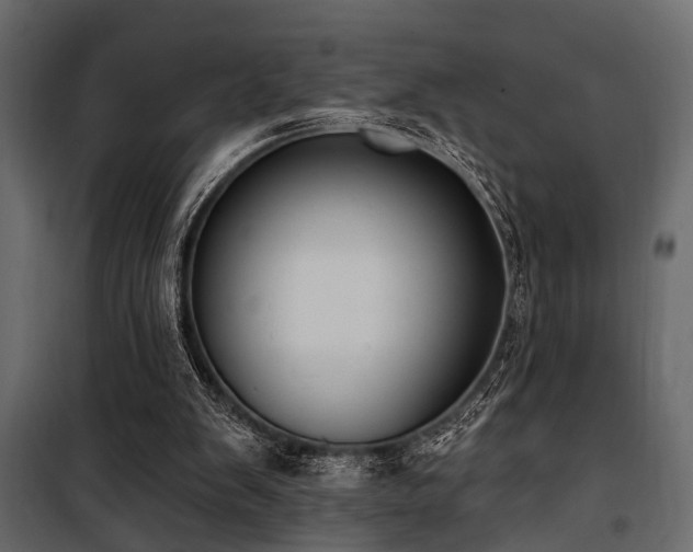 X0000100750103200806191153