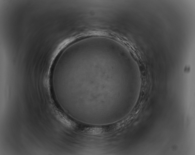 X0000100750104200806191153