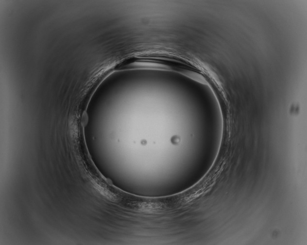 X0000100750105200806191153