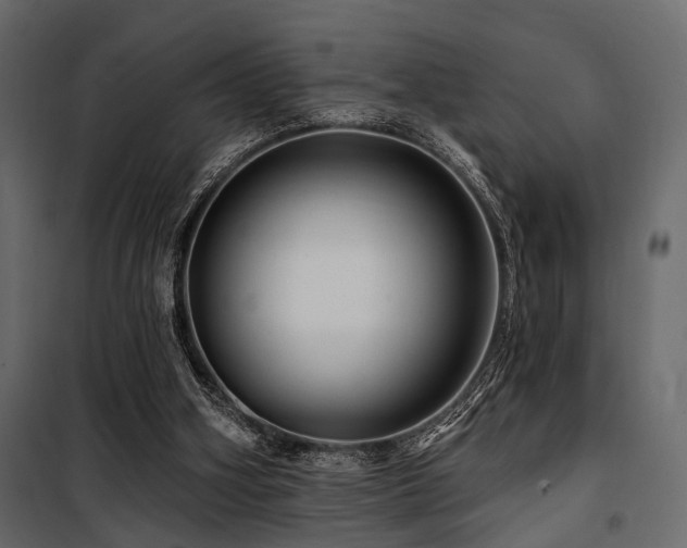 X0000100750106200806191153