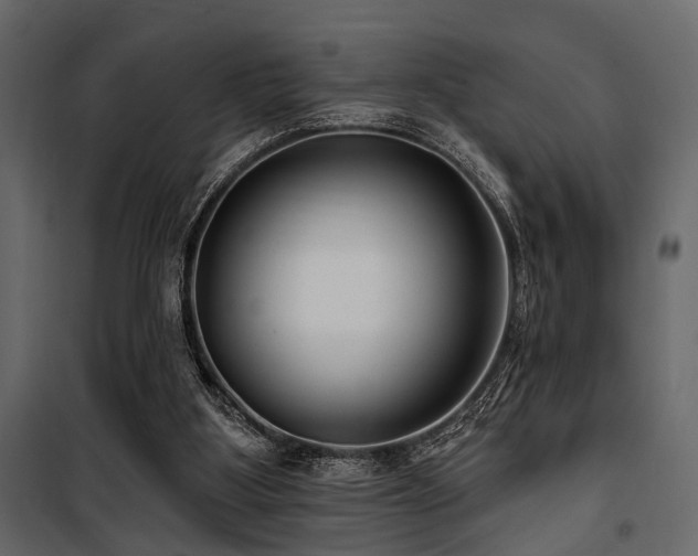 X0000100750107200806191153