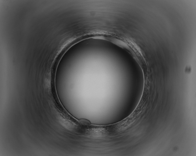 X0000100750108200806191153