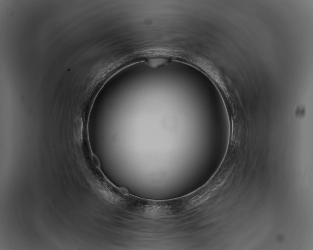 X0000100750109200806191153