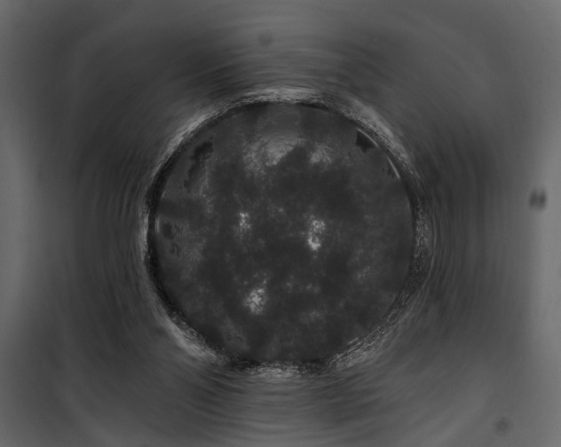 X0000100750110200806191153