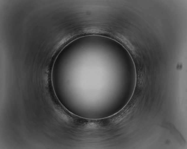 X0000100750111200806191153