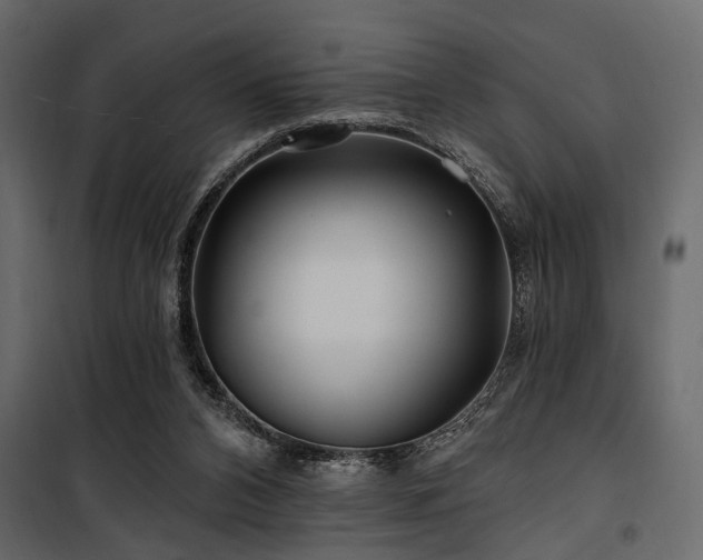 X0000100750112200806191153