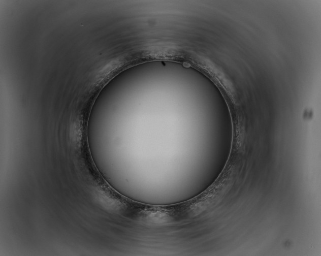 X0000100750113200806191153