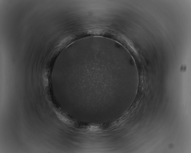 X0000100750114200806191153