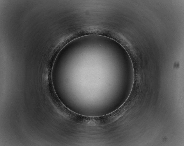 X0000100750115200806191153