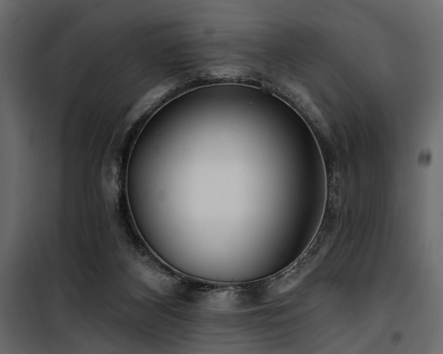 X0000100750116200806191153