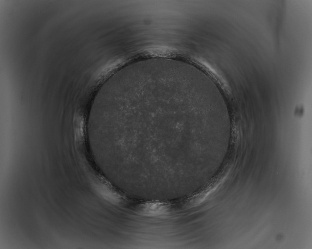 X0000100750117200806191153