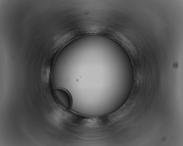 X0000100750118200806191153