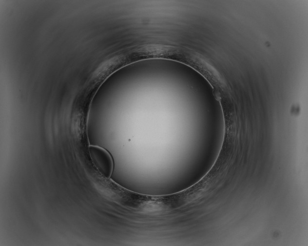 X0000100750119200806191153