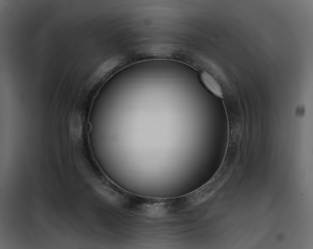 X0000100750120200806191153