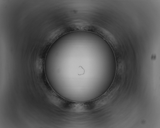 X0000100750121200806191153