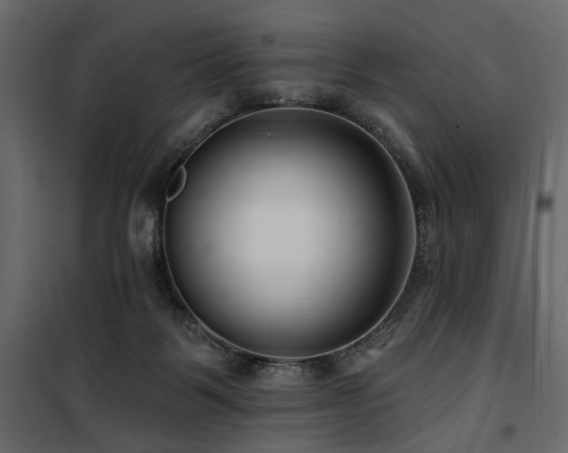 X0000100750123200806191153