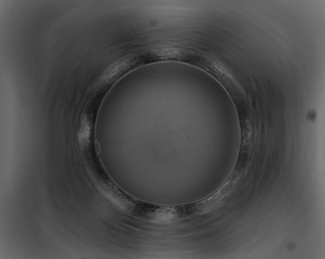 X0000100750124200806191153