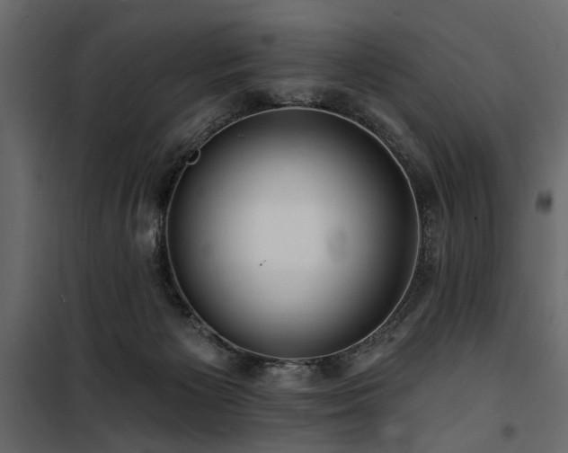 X0000100750125200806191153