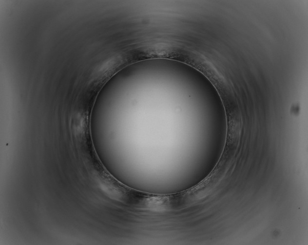 X0000100750126200806191153