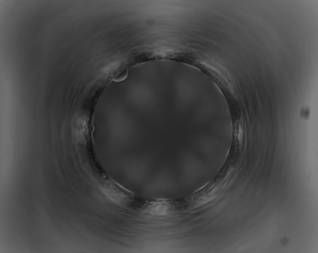 X0000100750127200806191153