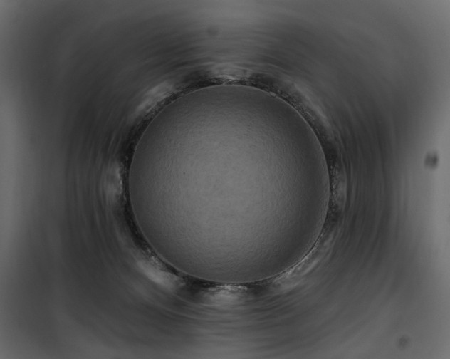 X0000100750128200806191153