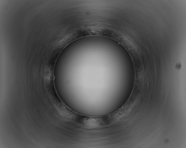 X0000100750129200806191153