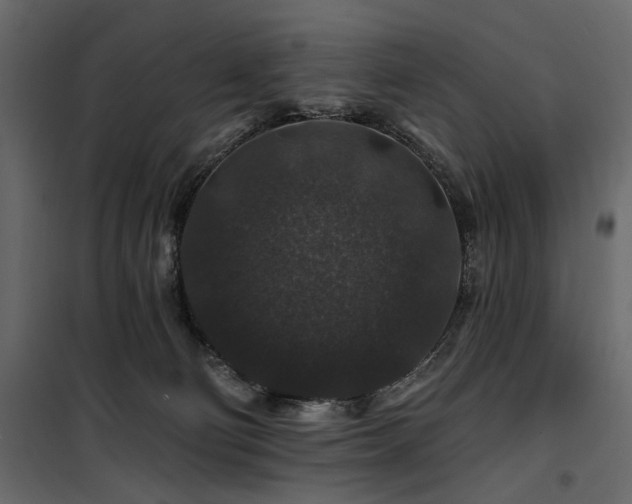 X0000100750130200806191153