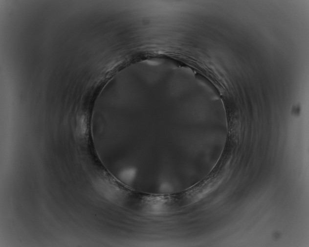 X0000100750131200806191152