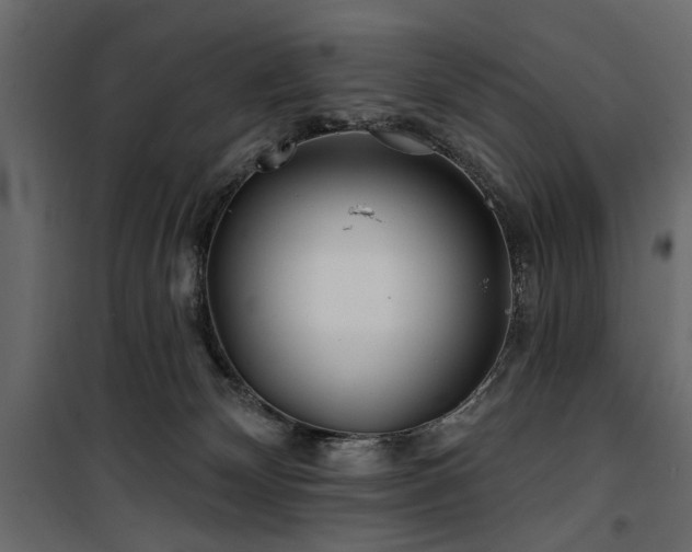 X0000100750132200806191152