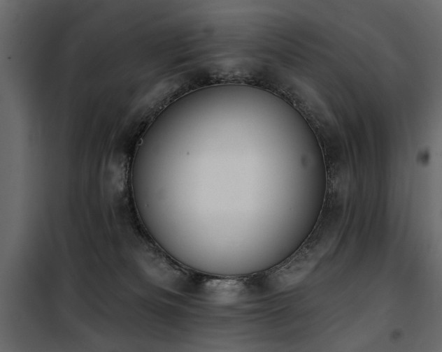 X0000100750133200806191152