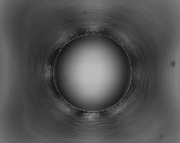 X0000100750135200806191152